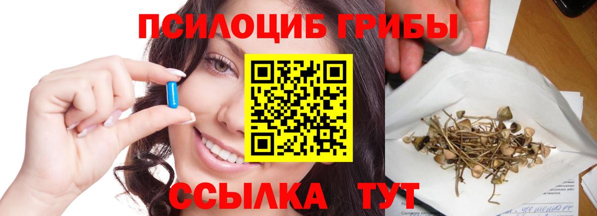 Псилоцибиновые грибы мухоморы Серов